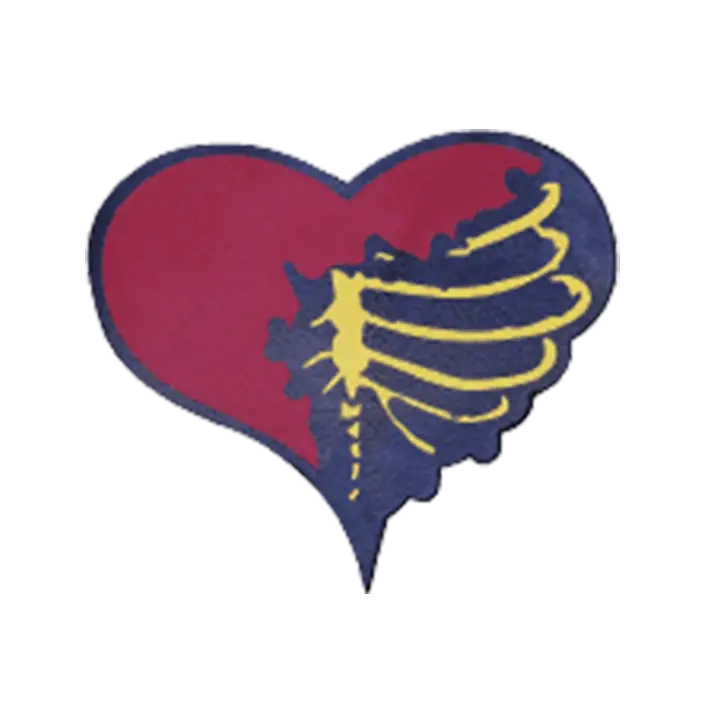 Leather Patches